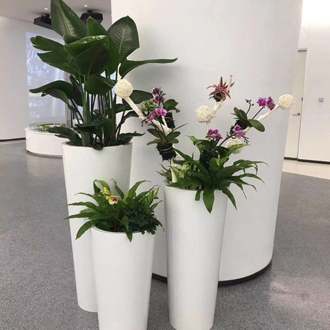 �����̻�ֲ������